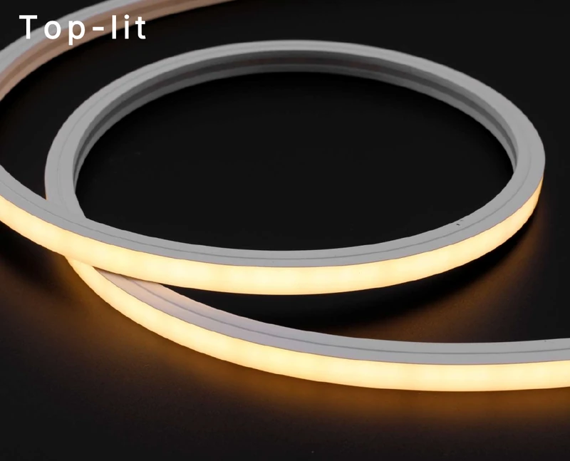 Top-lit Neon Flex